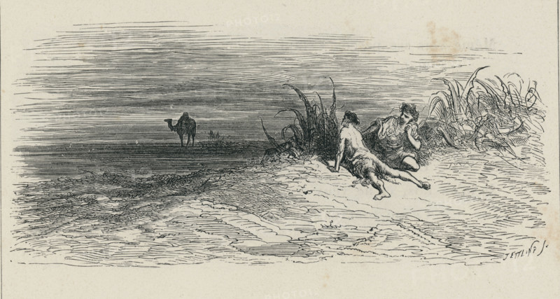 Fable "Le Chameau et les batons flottants"