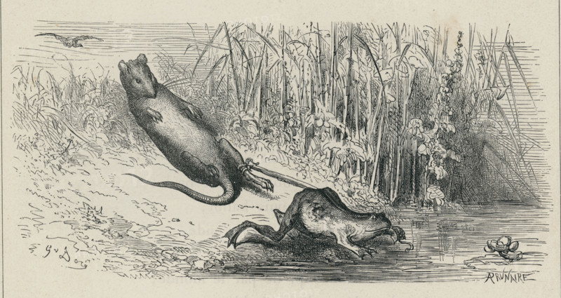 Fable "La Grenouille et le Rat"