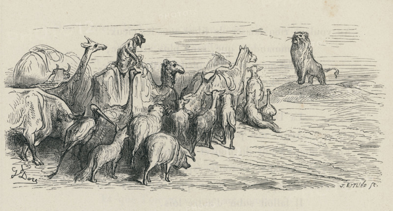 Fable "Tribut envoyé par les animaux à Alexandre"