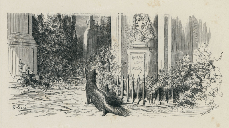 Fable "Le Renard et le buste"