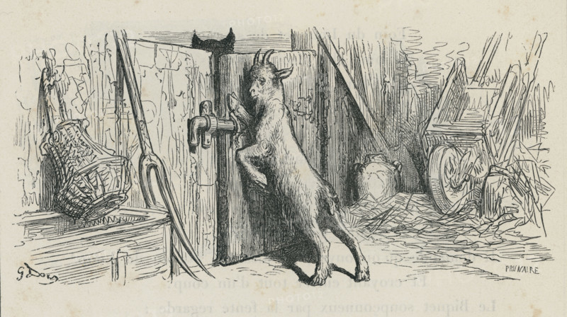 Fable "Le Loup la chèvre et le chevreau"