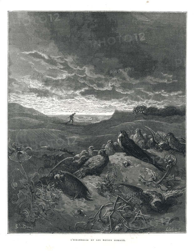 Fable "L'hirondelle et les petits oiseaux"
