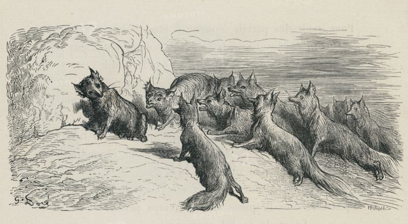 Fable of La Fontaine 'The Fox with the Cut Tail'