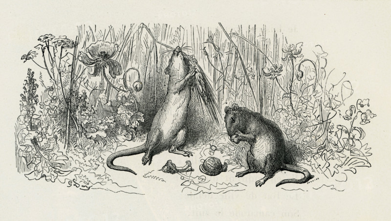 Fable of La Fontaine 'The Town Mouse and the Country Mouse'