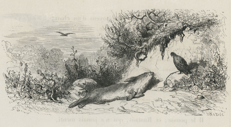 Fable "Le Lièvre et la perdrix"