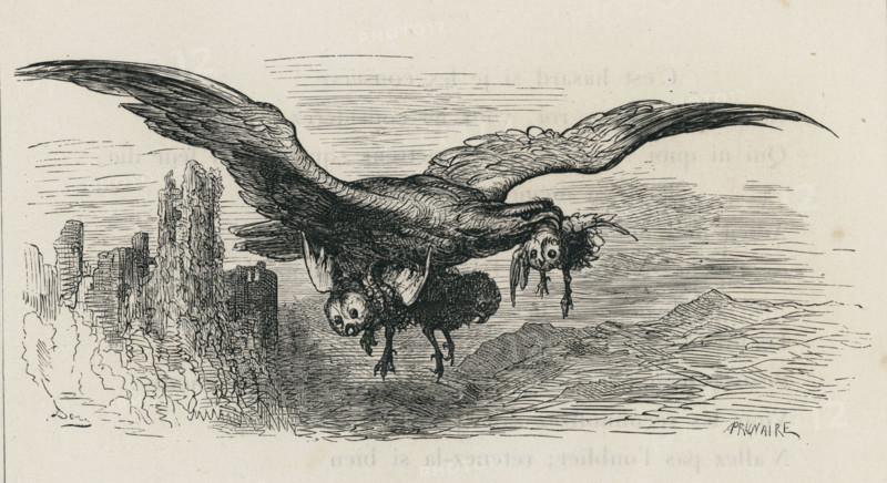 Fable of La Fontaine 'The Eagle and the Owl'