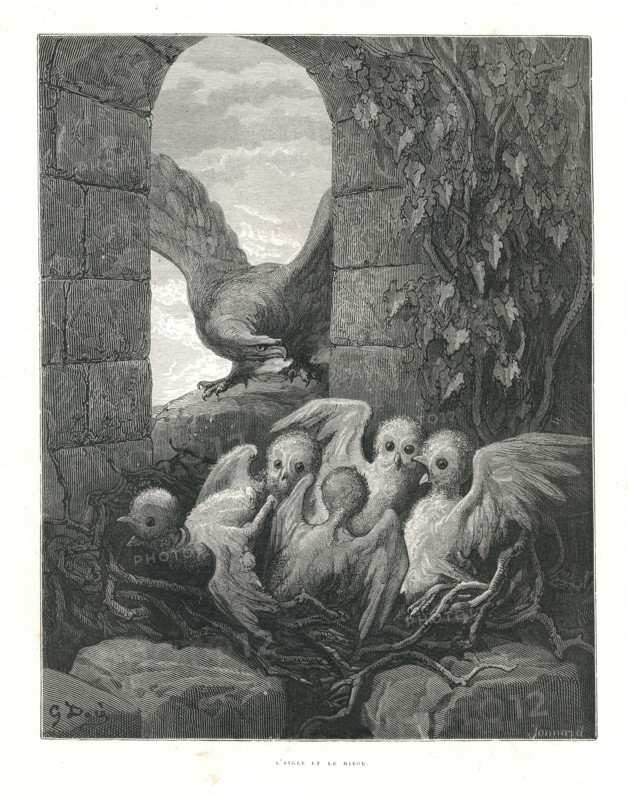 Fable "L'Aigle et le Hibou"