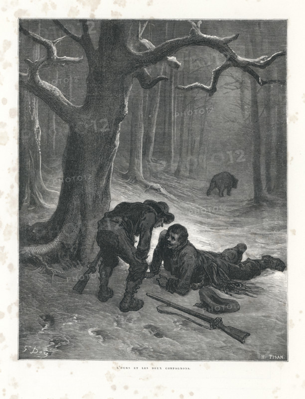 Fable "L'Ours et les deux compagnons"