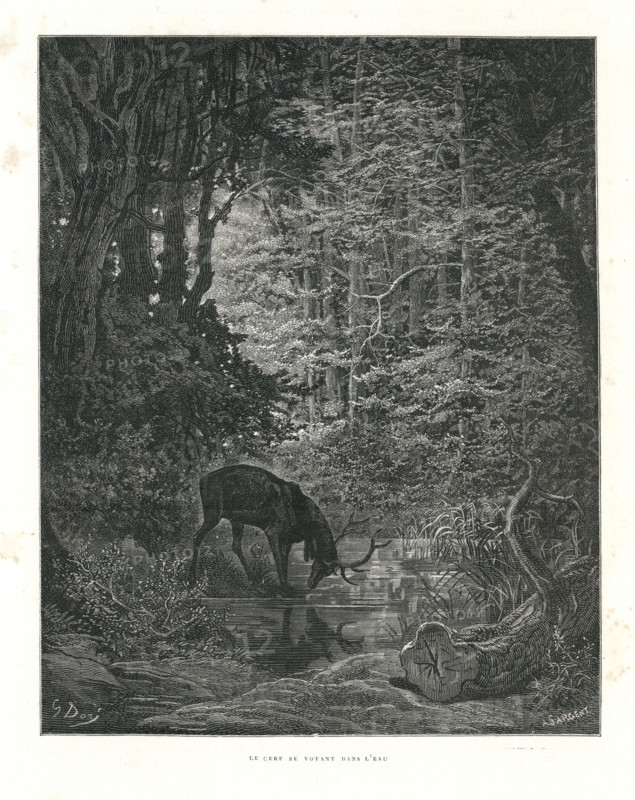 Fable of La Fontaine 'The Stag at the Pool'