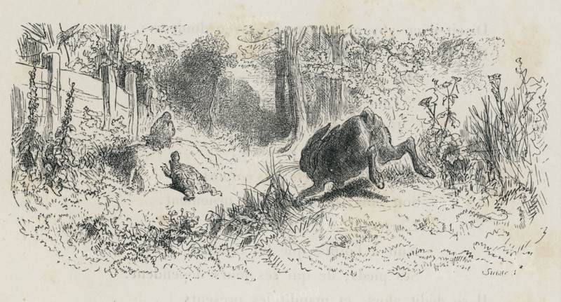 Fable "Le Lièvre et la Tortue"