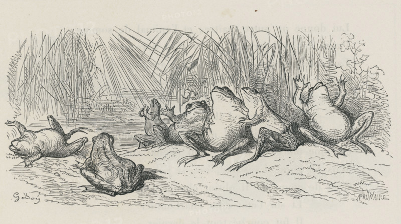 Fable "Le Soleil et les grenouilles"