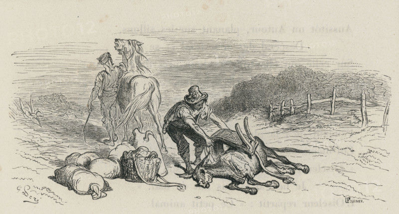 Fable "Le Cheval et l'âne"
