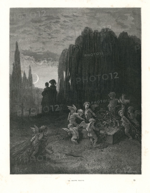 Fable "La Jeune veuve"