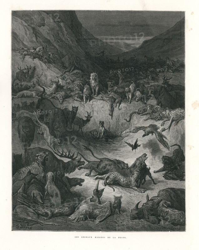 Fable "Les Animaux malades de la peste"