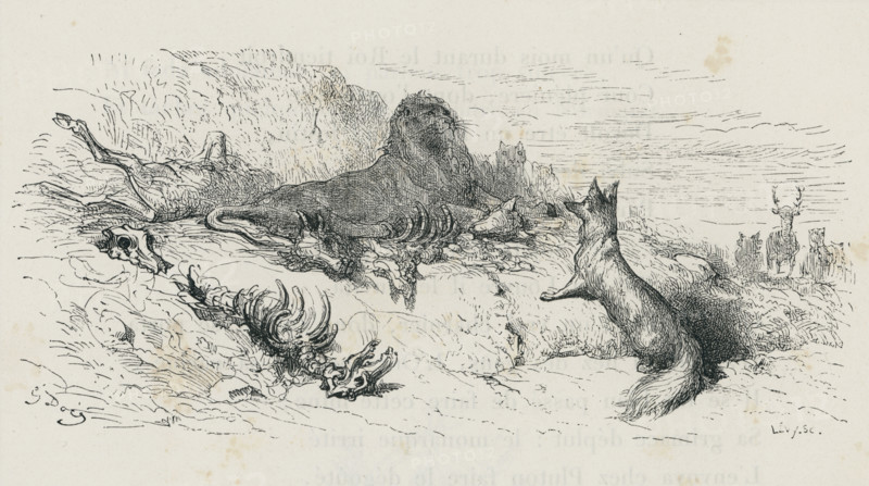 Fable "La Cour du Lion"