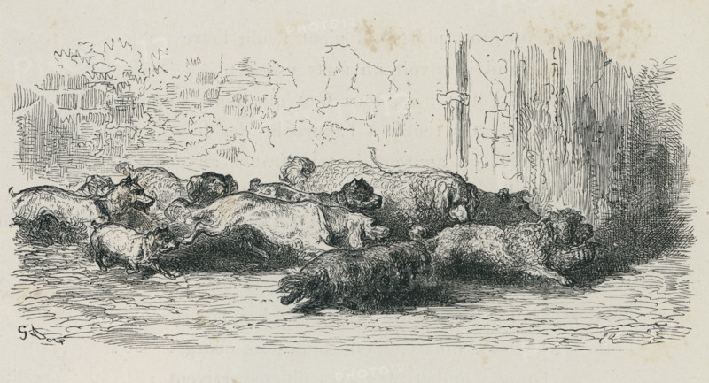 Fable "Le Chien qui porte à son cou le dîner de son maître"
