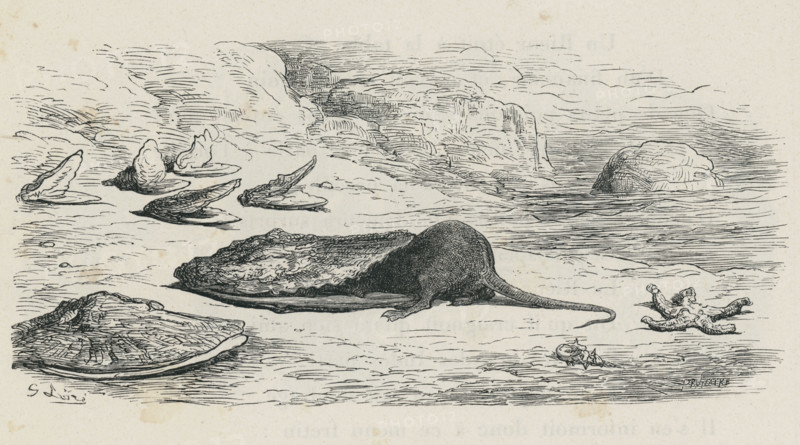 Fable "Le Rat et l'huître"