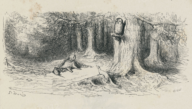 Fable "Le Chat et le Rat"