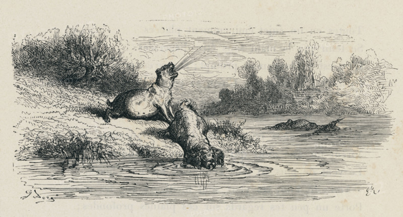 Fable "Les Deux chiens et l'âne mort"