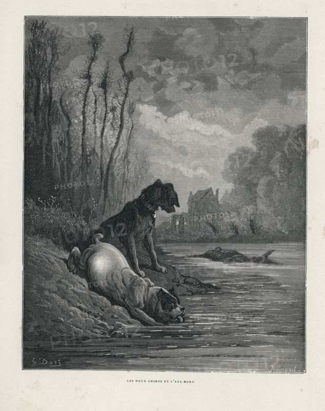 Fable "Les Deux chiens et l'âne mort"