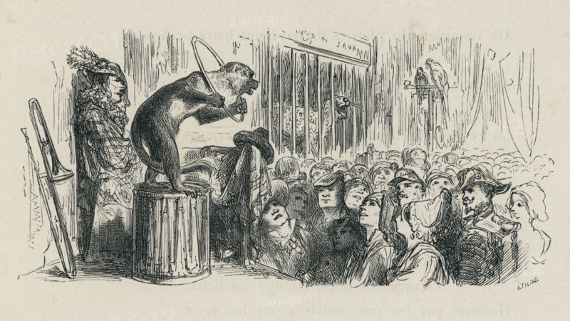Fable "Le Singe et le léopard"