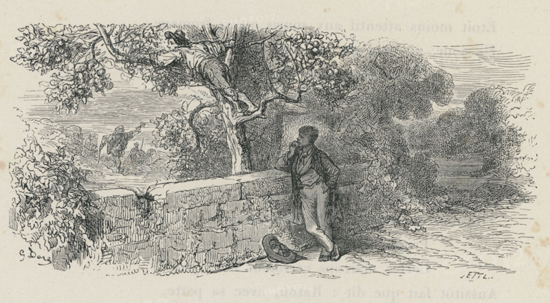 Fable "Le Singe et le Chat"