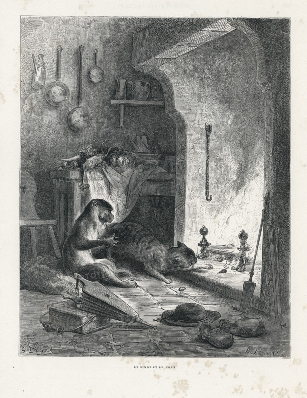 Fable "Le Singe et le Chat"