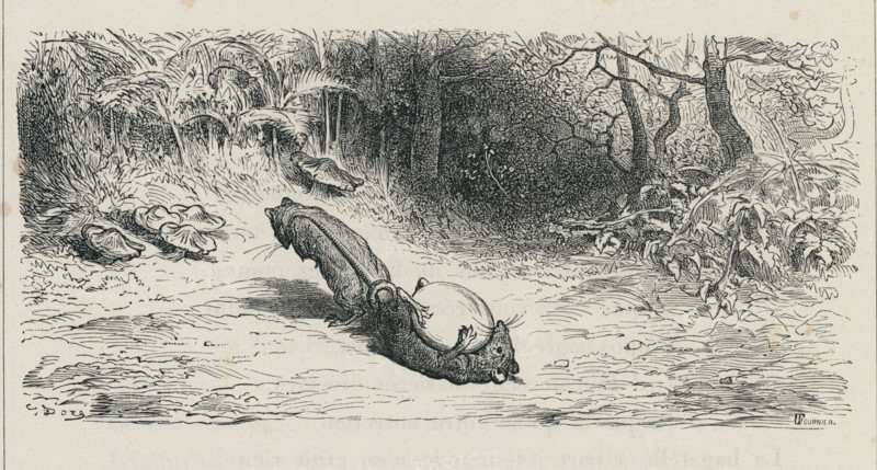 Fable "Les Deux rats, le renard et l'oeuf"