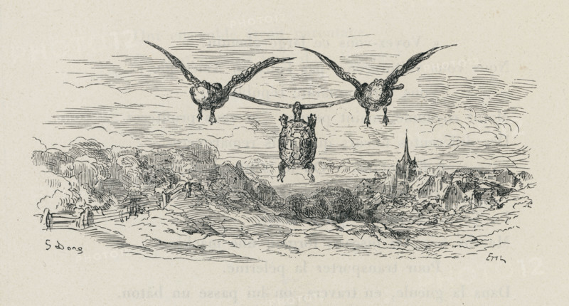 Fable "La Tortue et les deux canards"