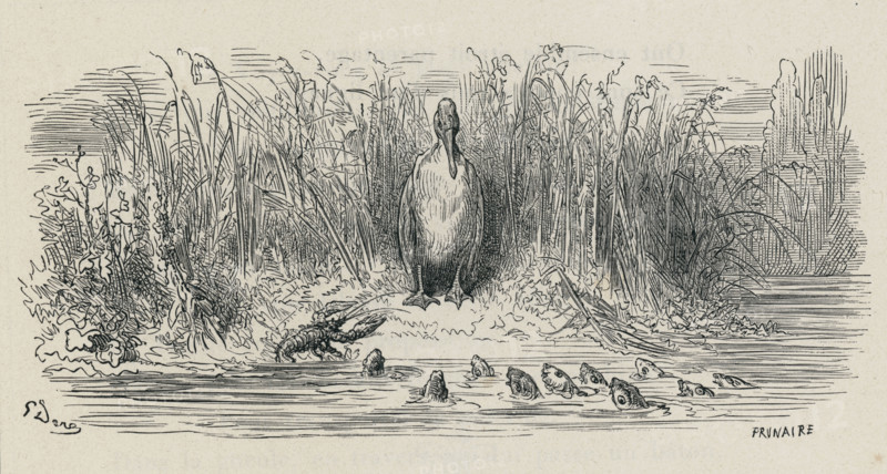 Fable "Les Poissons et le Cormoran"