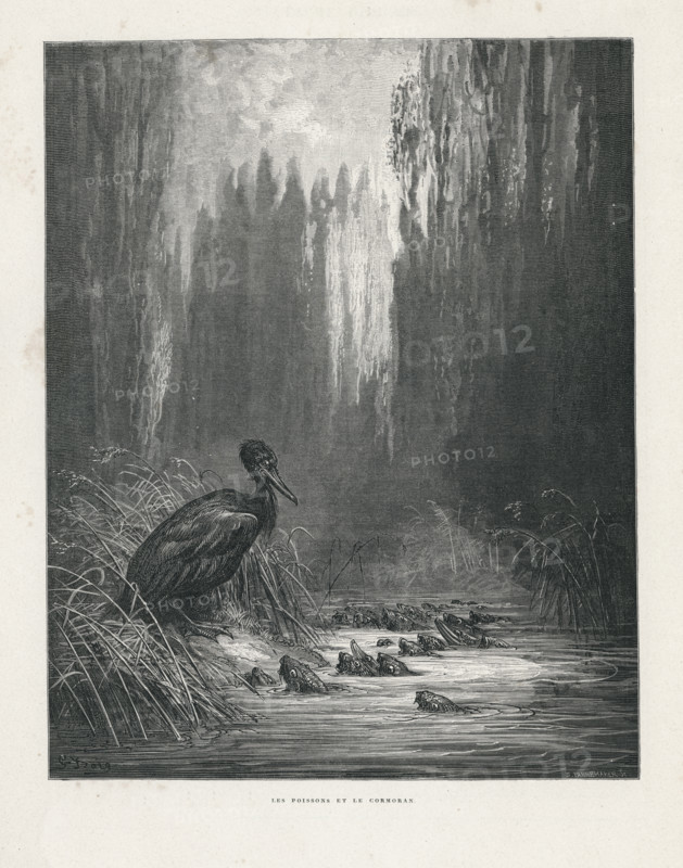 Fable "Les Poissons et le Cormoran"