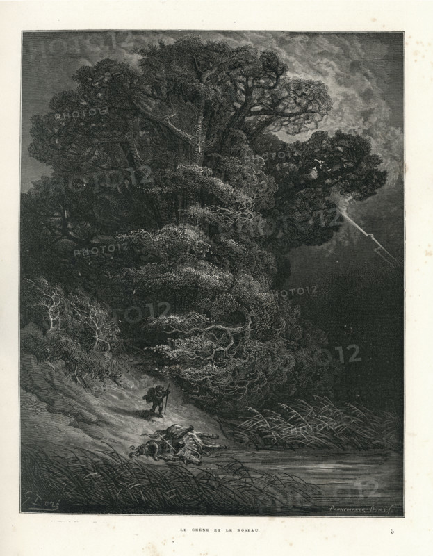 Fable "Le Chêne et le Roseau"