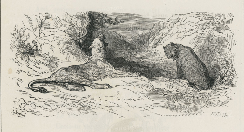 Fable "La Lionne et l'Ourse"