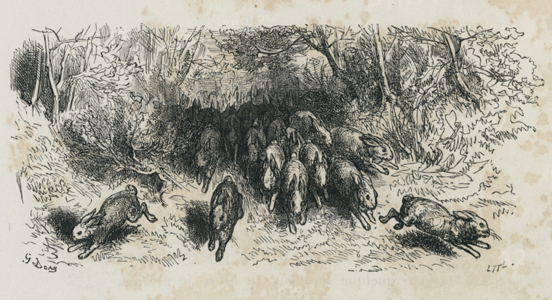 Fable "Les Lapins"