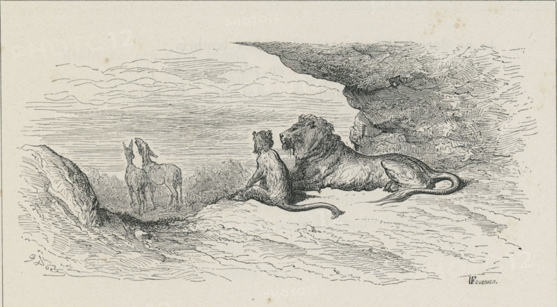 Fable "Le Lion, le Singe et les deux Ânes"