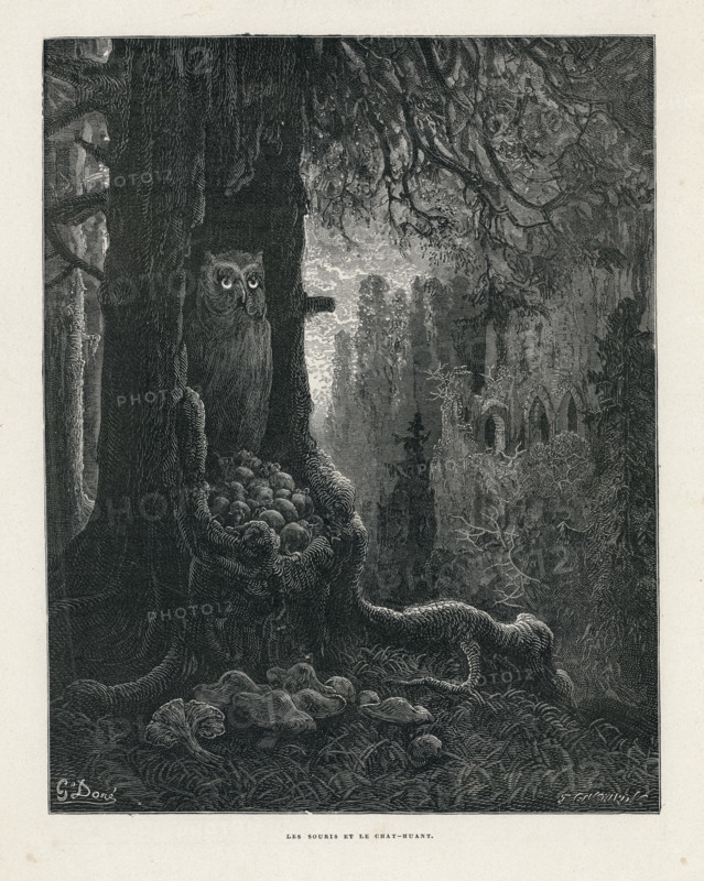 Fable "La Souris et le Chat-huant"