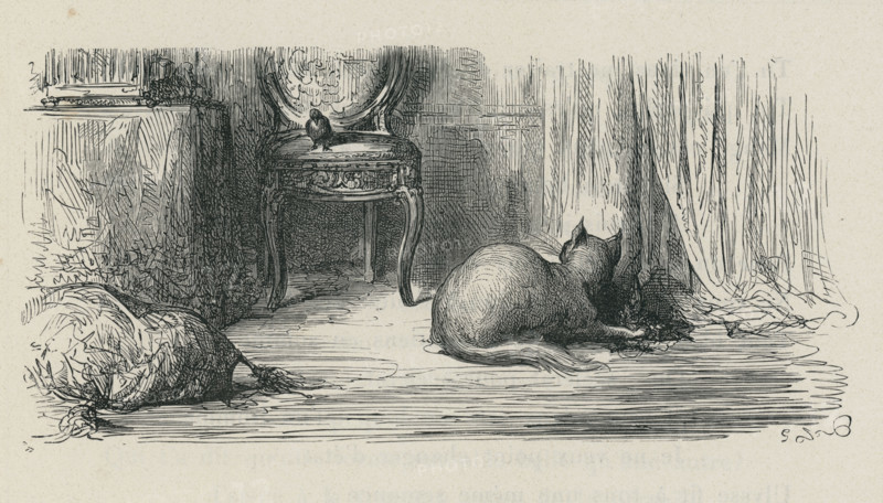 Fable "Le Chat et les deux Moineaux"
