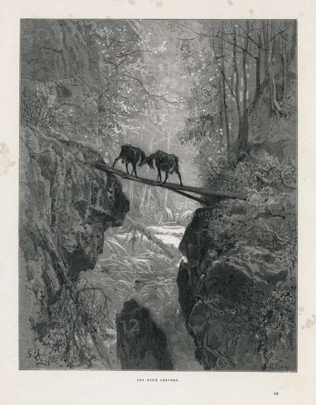 Fable "Les Deux chèvres"