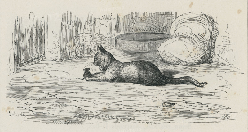 Fable "Le Vieux Chat et la jeune Souris"