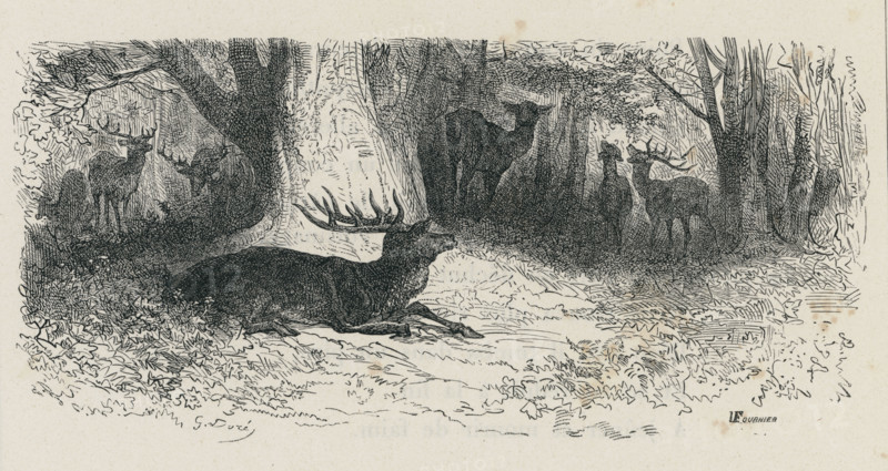 Fable "Le Cerf malade"