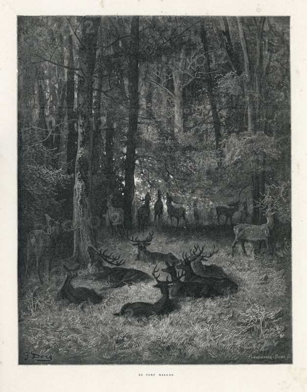 Fable "Le Cerf malade"