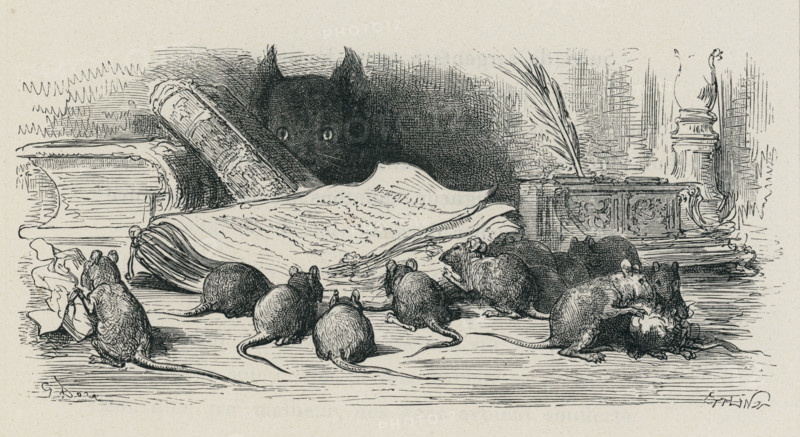 Fable "La Querelle des chiens et des chats et celle des chats et des souris"