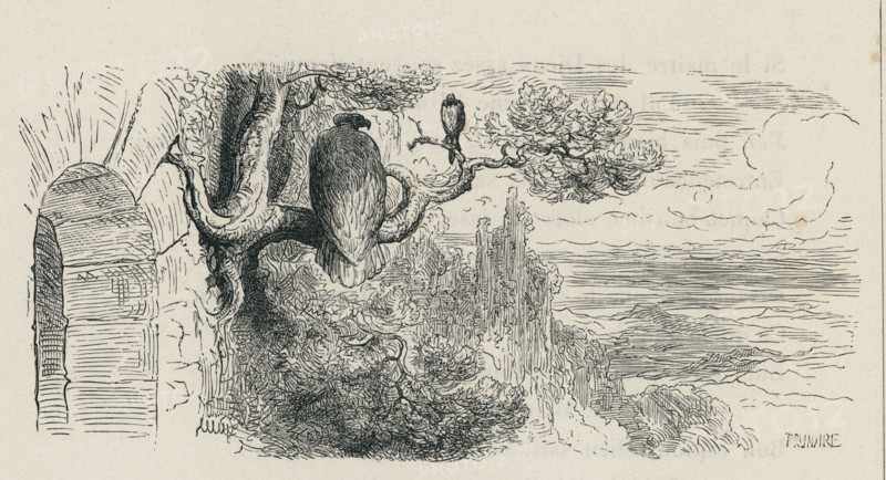 Fable "L'Aigle et la Pie"