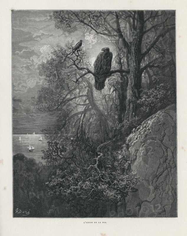 Fable "L'Aigle et la Pie"