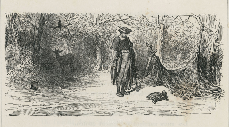 Fable "Le Corbeau, la gazelle, la tortue et le rat"