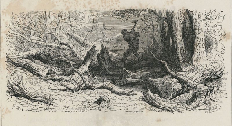 Fable "La Forêt et le bûcheron"