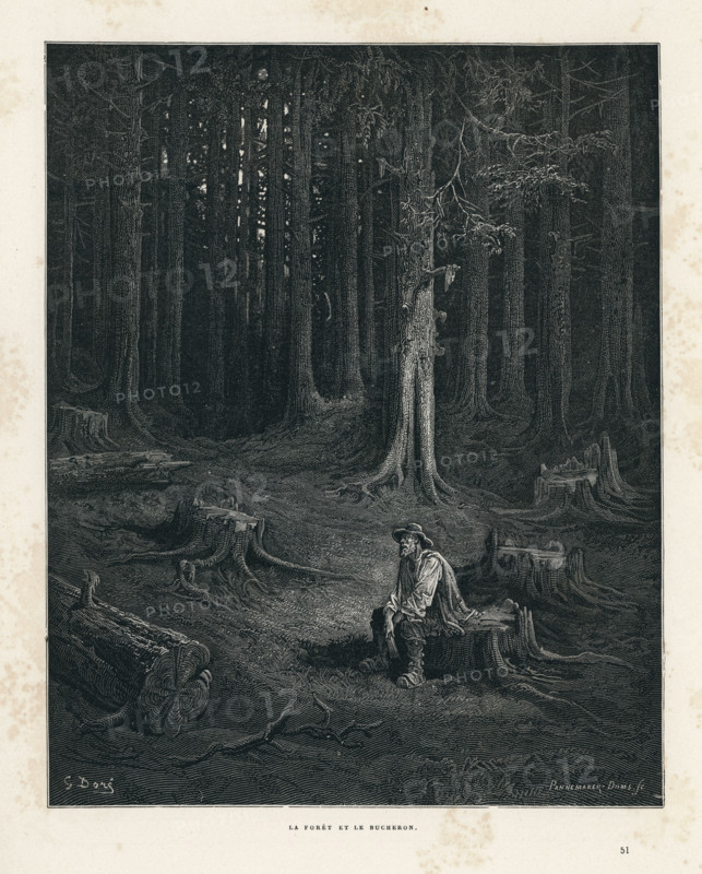 Fable "La Forêt et le bûcheron"