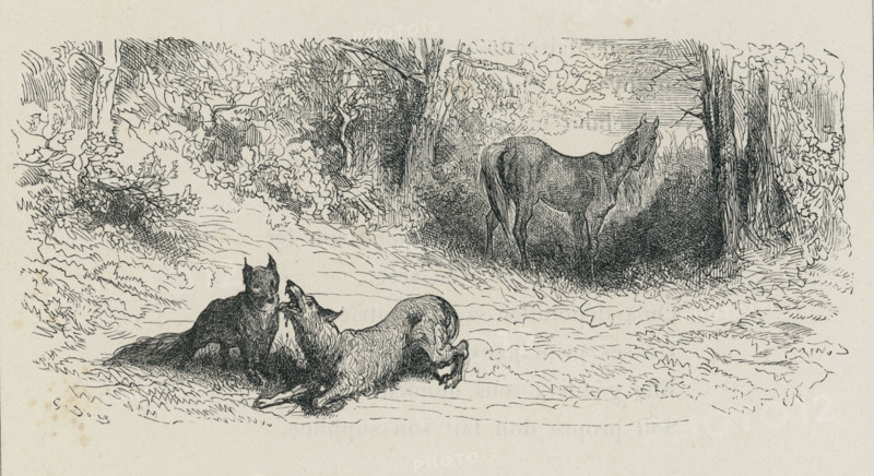 Fable "Le Renard, le loup et le cheval"
