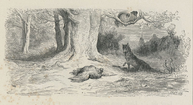 Fable "Le Renard et les poulets d'Inde"