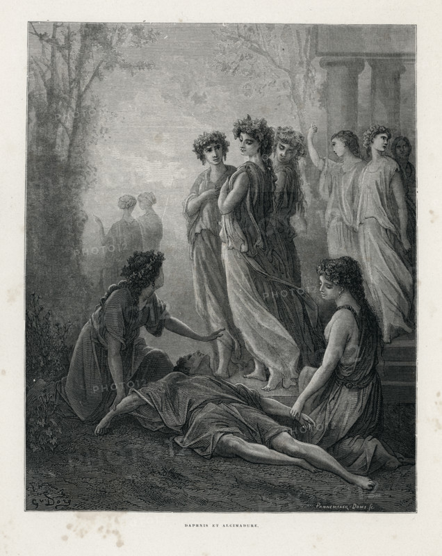 Fable "Daphné et Alcimadure"